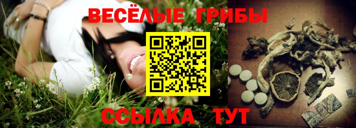 Галлюциногенные грибы GOLDEN TEACHER  Вход с VPN  хочу   Карабулак 